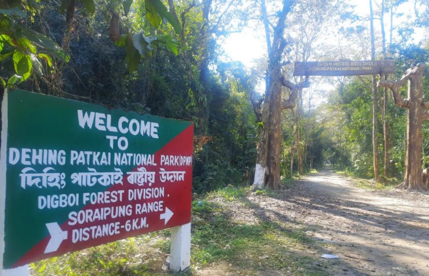 Dihing Patkai National Park, , Assam - Vushii.com Dihing Patkai National Park, , Assam - Vushii.com